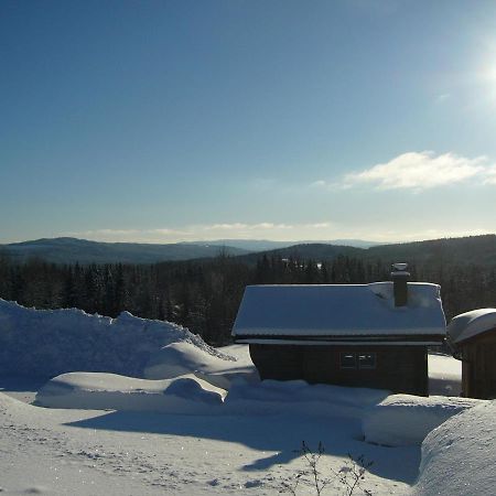 Panoramaboende Torsby Buitenkant foto