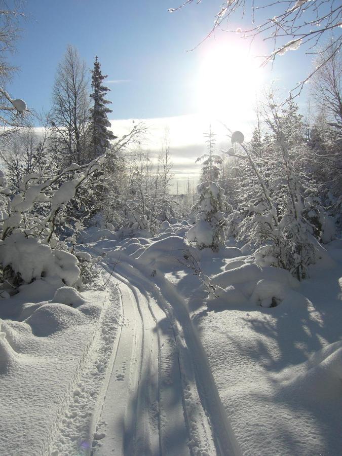 Panoramaboende Torsby Buitenkant foto